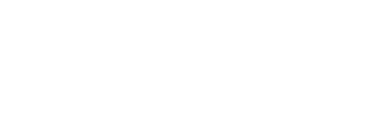 VALPS Consulting